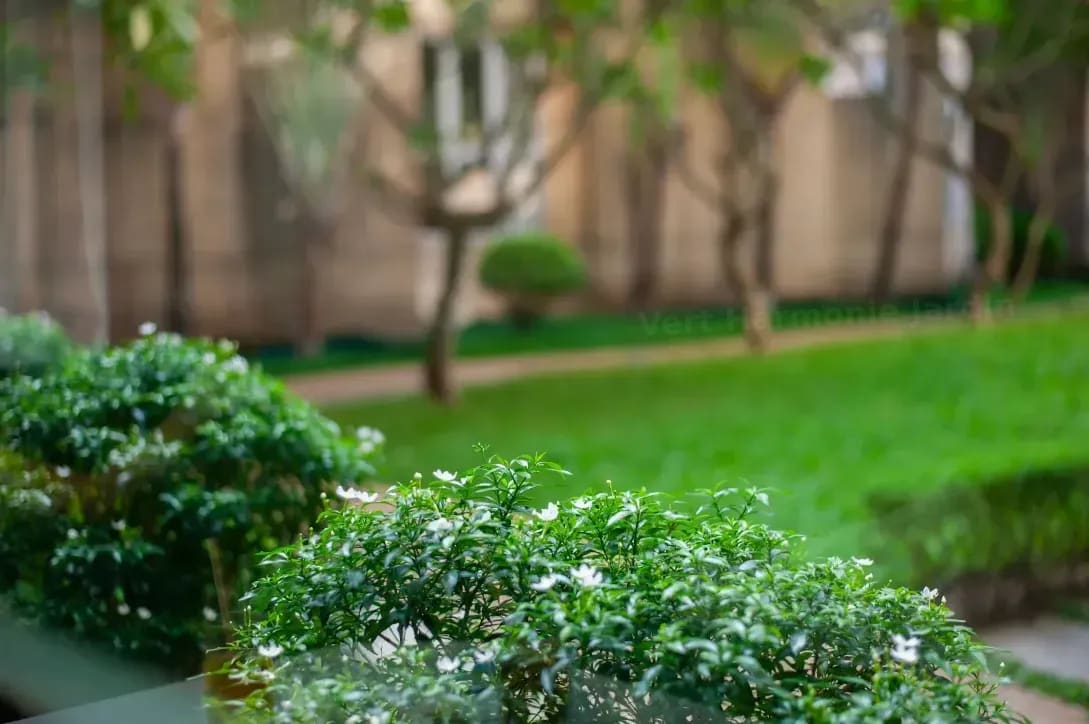 Entretenir sa pelouse en début de saison : conseils pratiques
