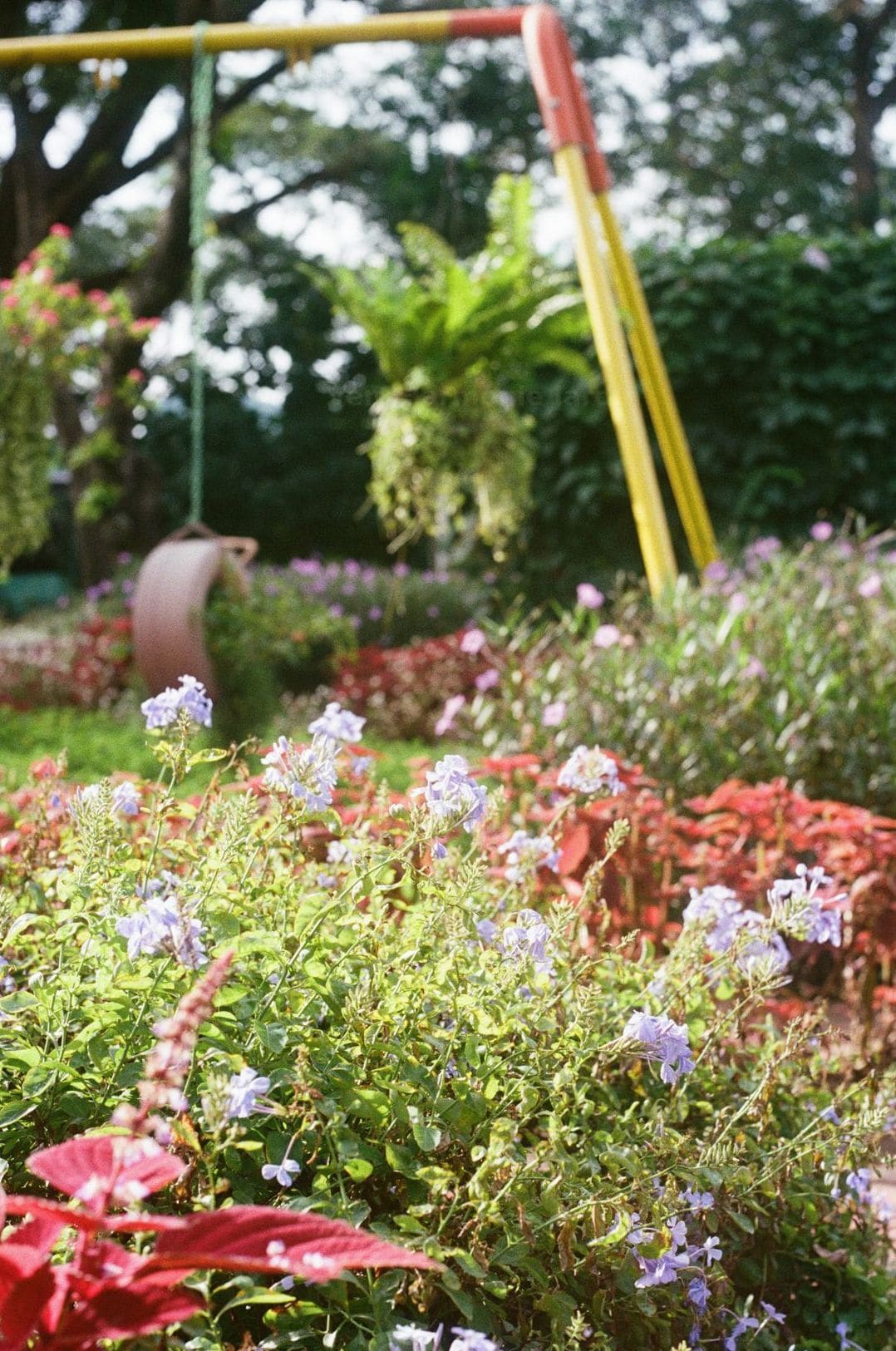 Vert Harmonie Jardin 1