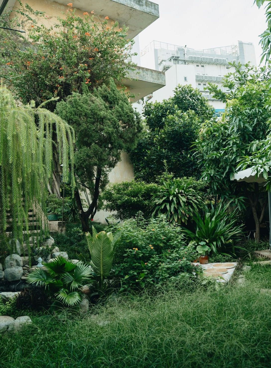 Vert Harmonie Jardin 10