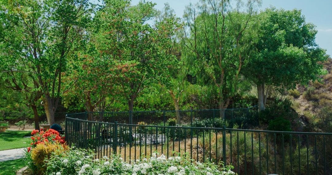 Vert Harmonie Jardin 13
