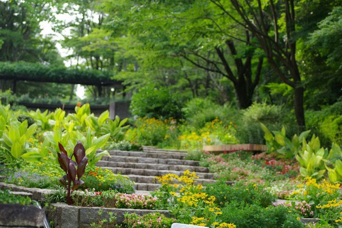 Vert Harmonie Jardin 2