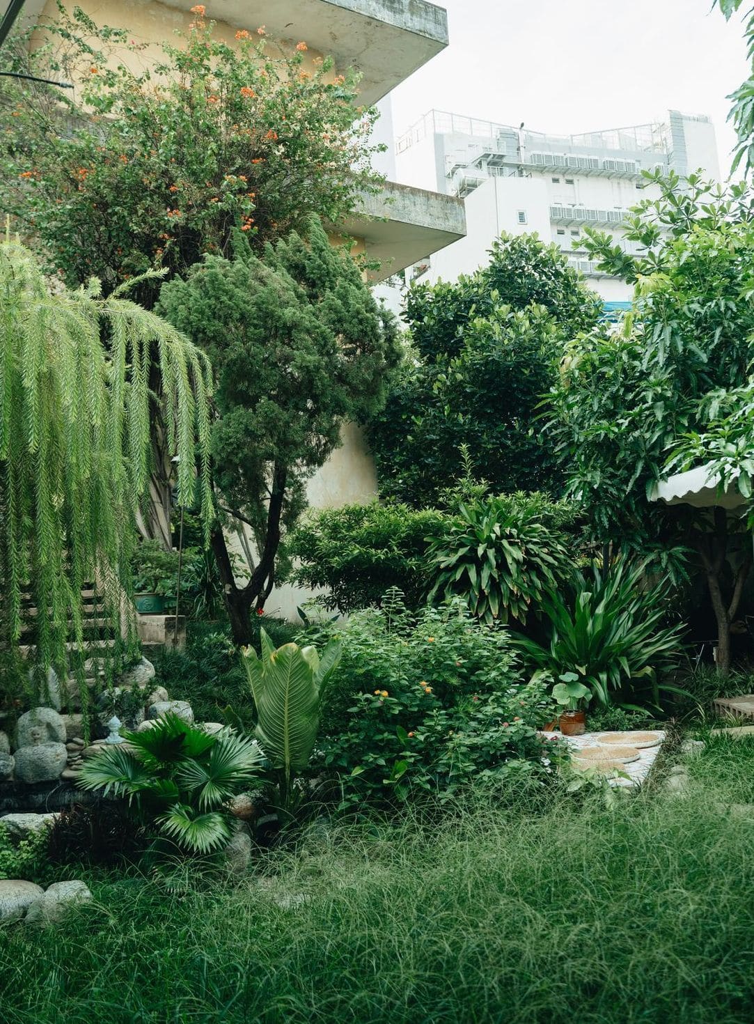 Vert Harmonie Jardin 3