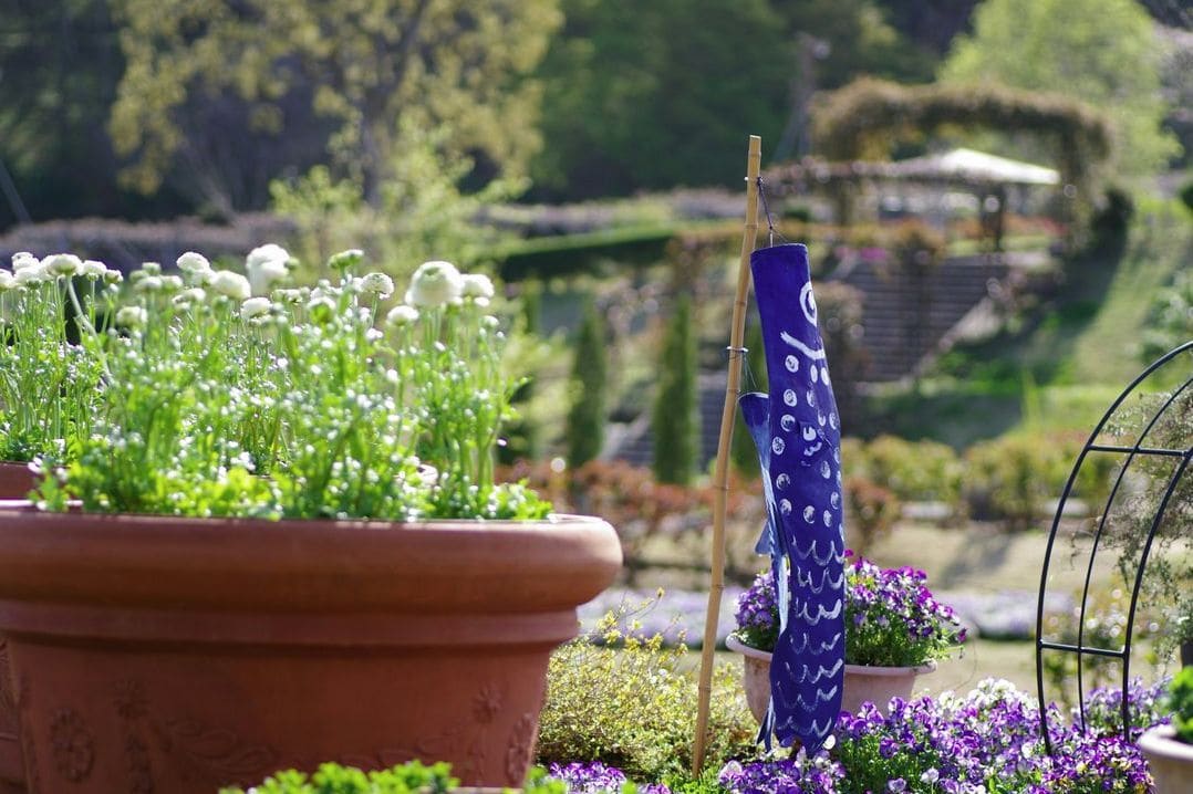 Vert Harmonie Jardin 7